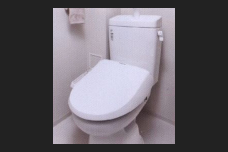 シティテラス川崎鈴木町ガーデンズ・グランドシーズンズの節水型ロータンクトイレ