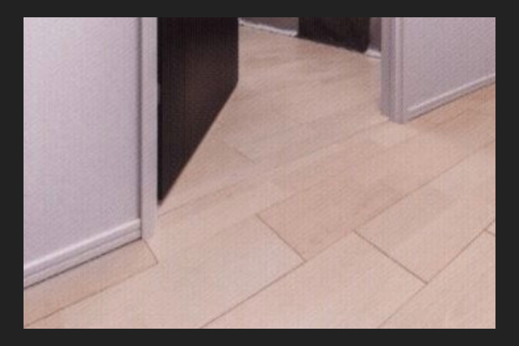 シティテラス川崎鈴木町ガーデンズ・グランドシーズンズのフラット設計