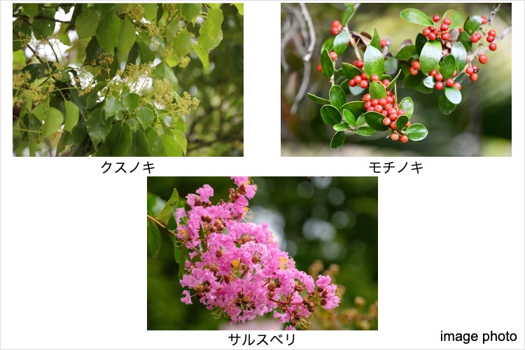 シティテラス川崎鈴木町ガーデンズの四季の移ろいイメージ図